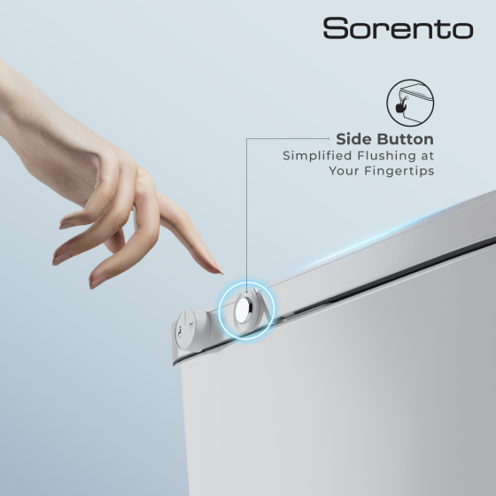 Sorento_Dec2-16 (1)